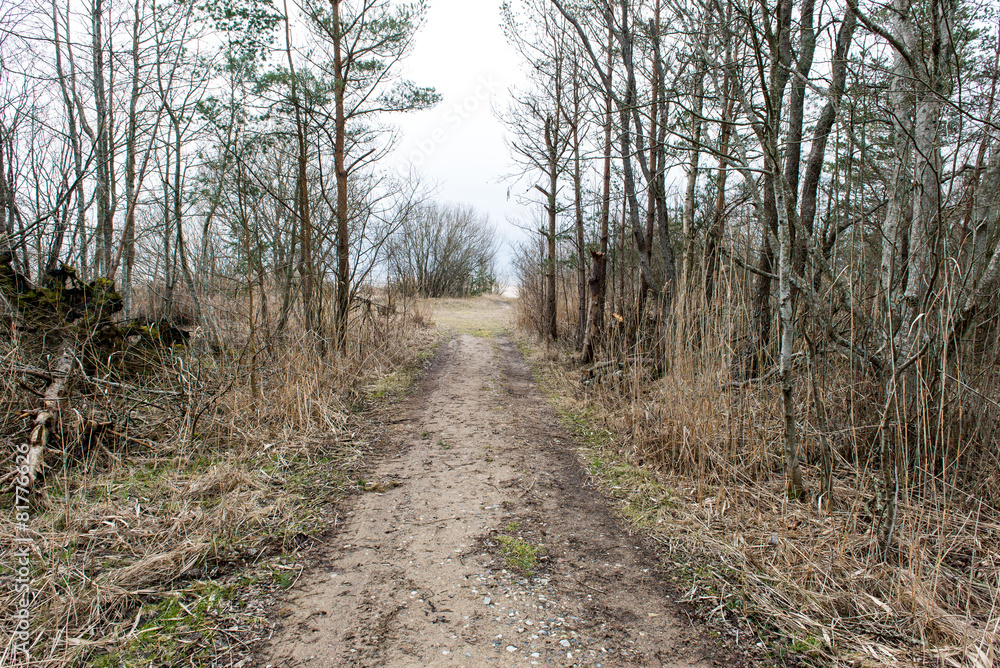 empty country road in spring empty country road in spring
