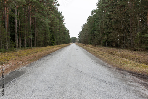 empty country road in spring