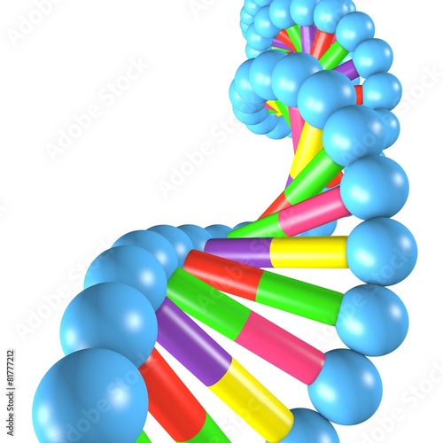 Colorful dna chain model, 3d render isolated on white.