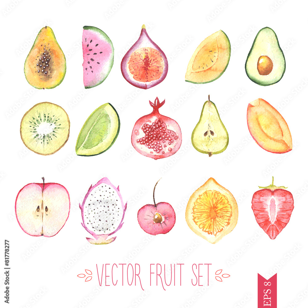 Watercolor vector fruit set Stock Vector | Adobe Stock