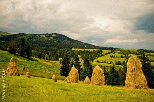 Fototapeta Naklejka Na Ścianę i Meble -  Carpathians landscape