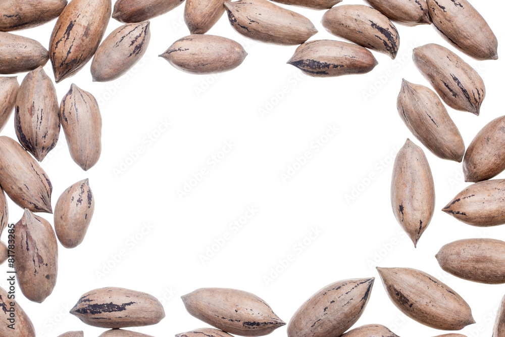 Pecan nuts frame Pecan nuts frame