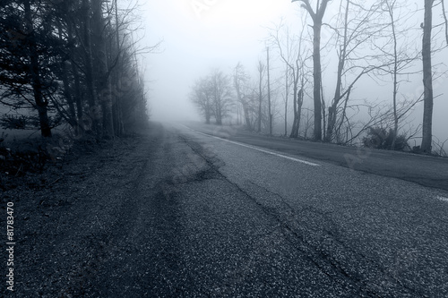Road in the mist