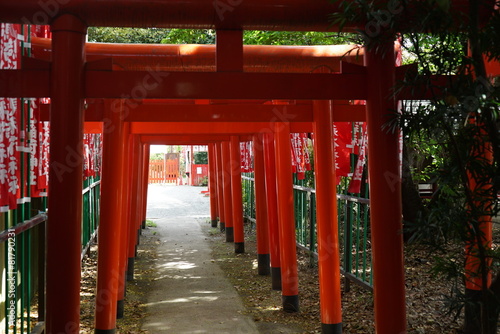 Orange Gate at Fushimi-Inari © toshi88