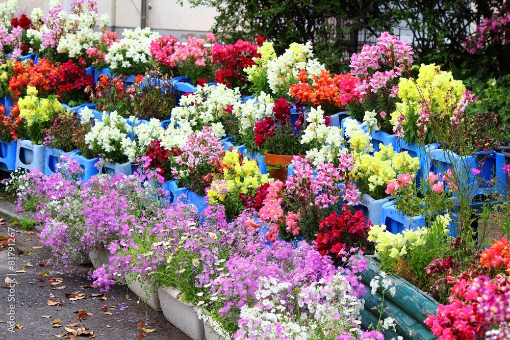 花壇 花壇