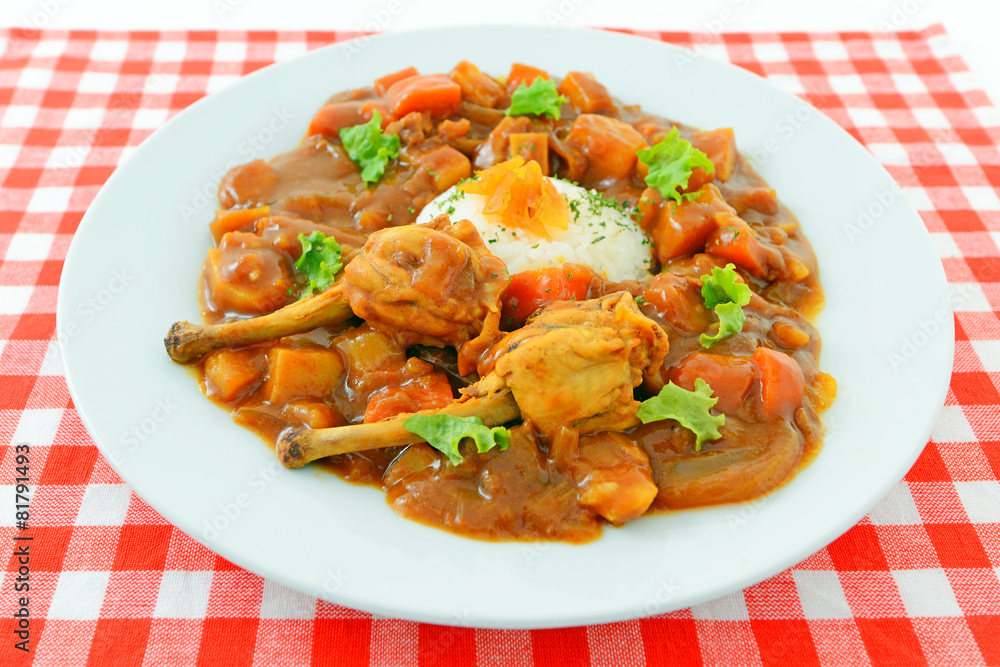 美味しそうなカレーライス 美味しそうなカレーライス