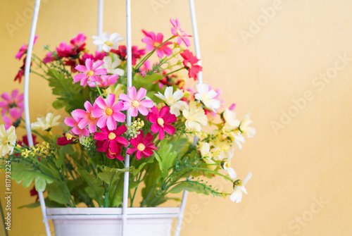 Fototapeta Naklejka Na Ścianę i Meble -  flowers