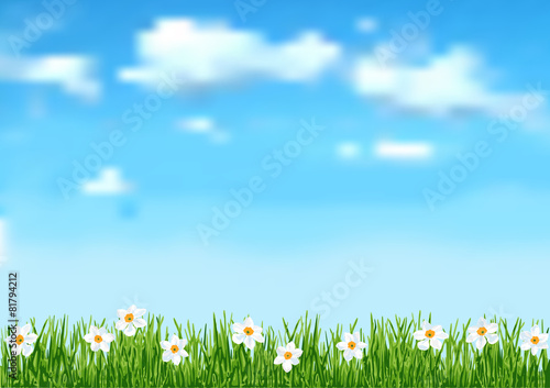 Page 5 of 6  with sky, clouds end white flowers