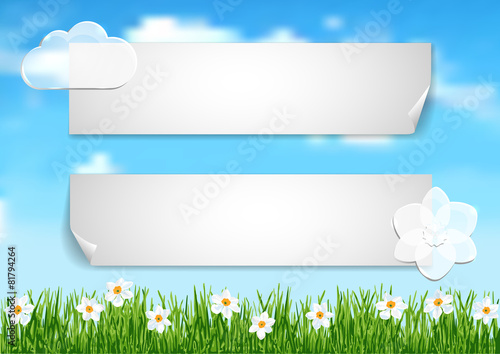 Page 4 of 6  with sky, clouds end white flowers