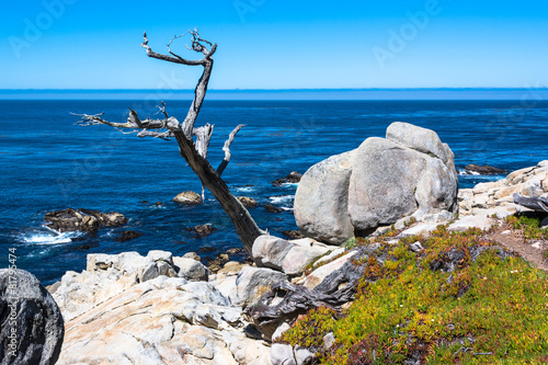 Rocks and ocean from Monterey coast