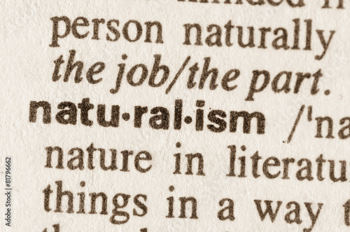 Dictionary definition of word naturalism