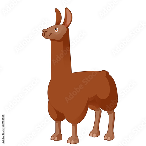 Cartoon Lama