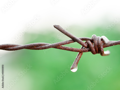 Barbed wire close-up with drops of water in rainy day © showcake