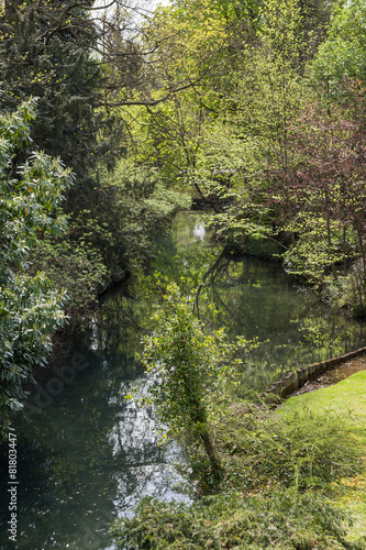 Canal de Colmar dans les arbres