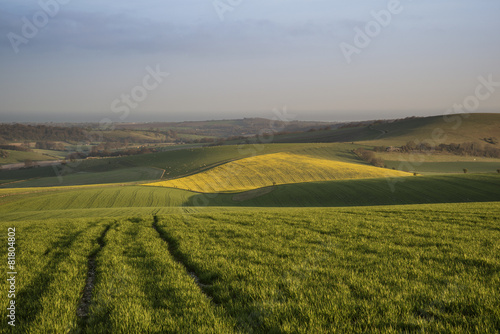 Spring morning over vibrant agricultural landscape in Englsh cou