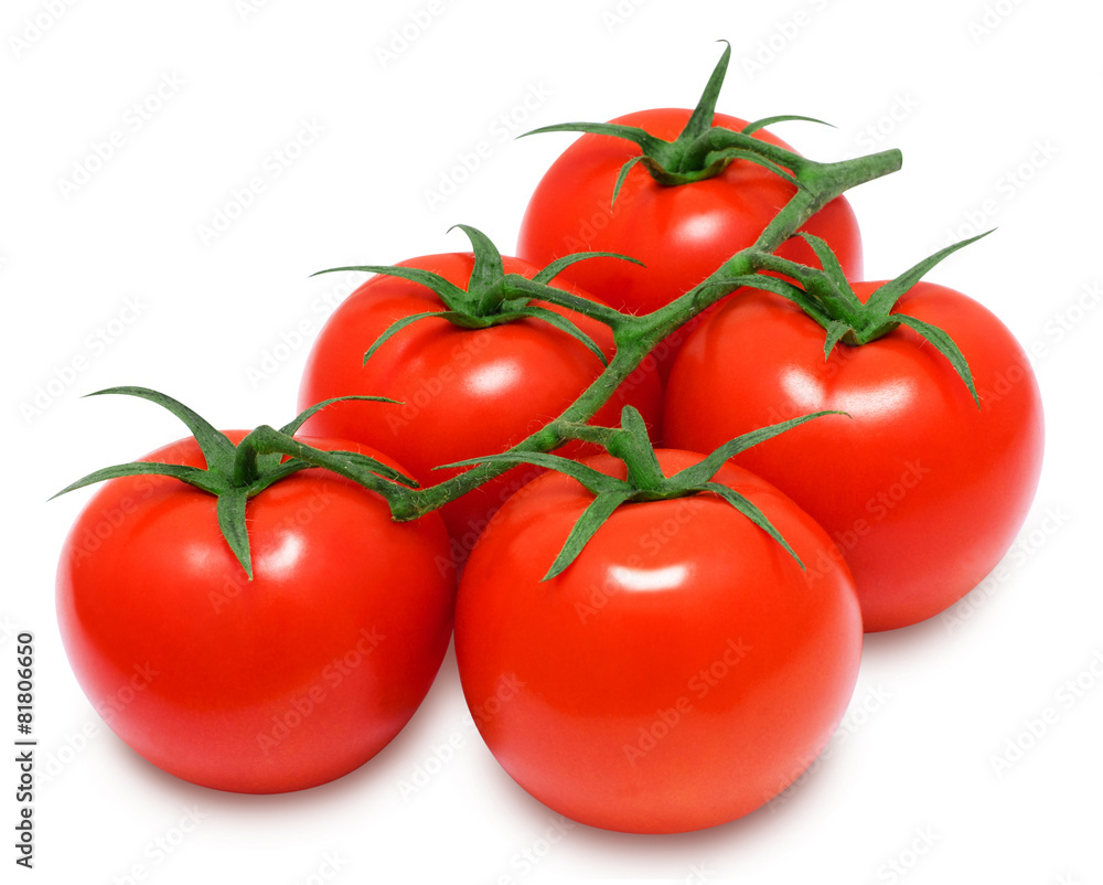 Branch of fresh red tomatoes on isolated white backround