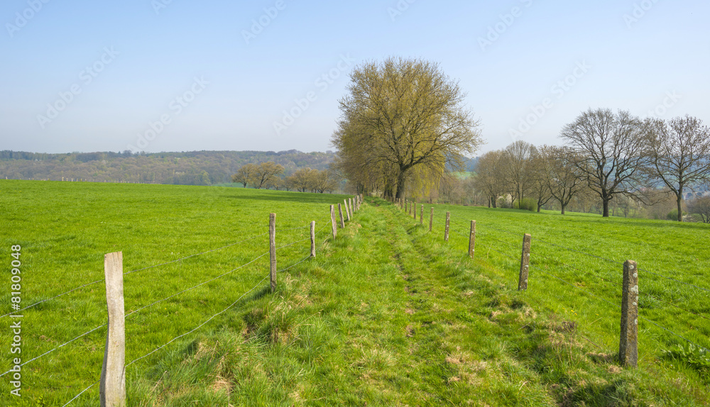 Hiking trail through sunny farmland in spring