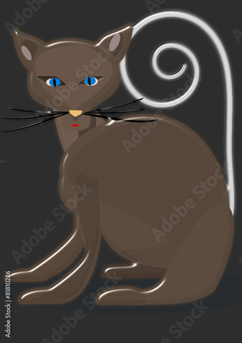 Gato siamés