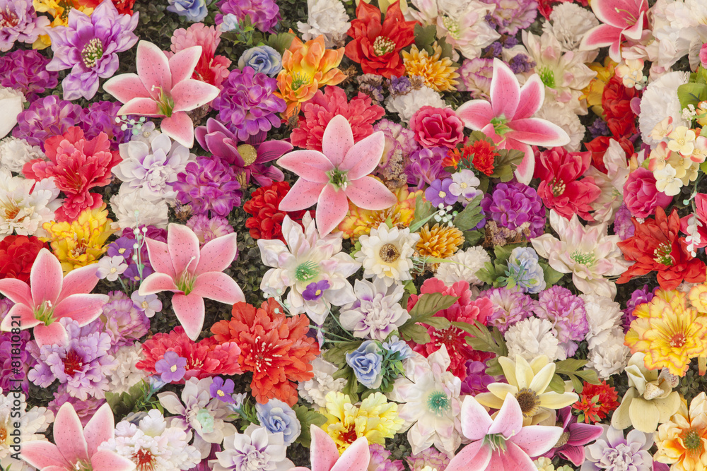 Fototapeta premium lot of flowers