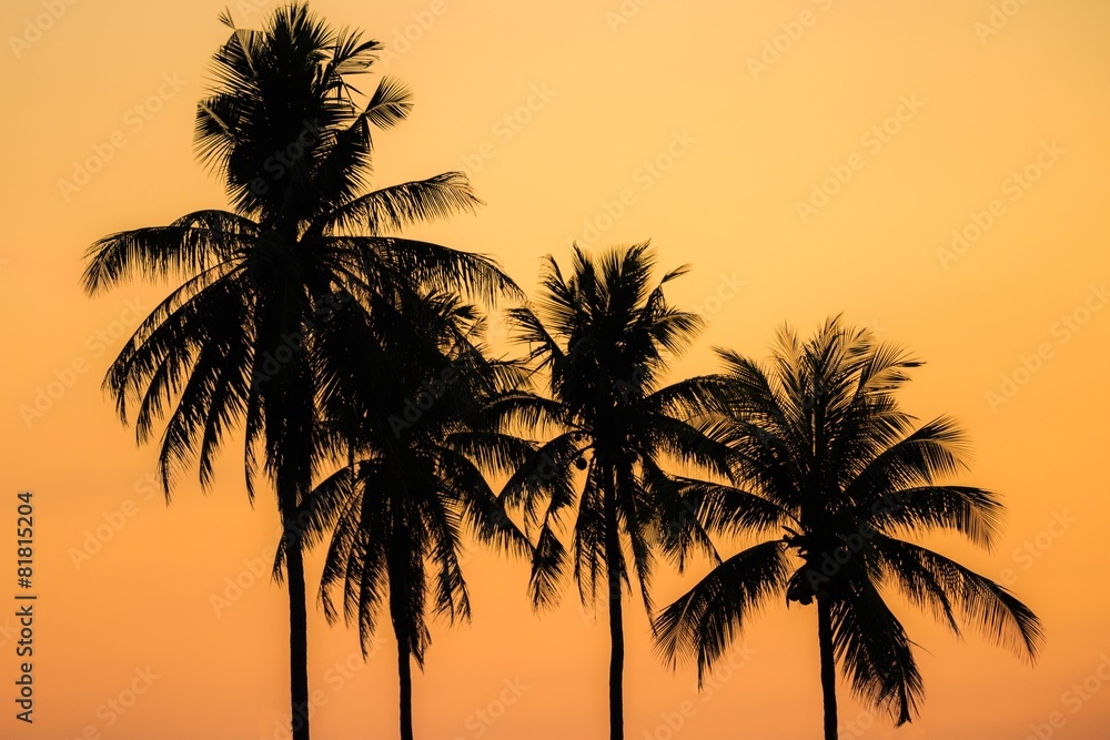 Sunset with coconut tree at twilight time