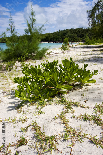 ile du cerfs photo