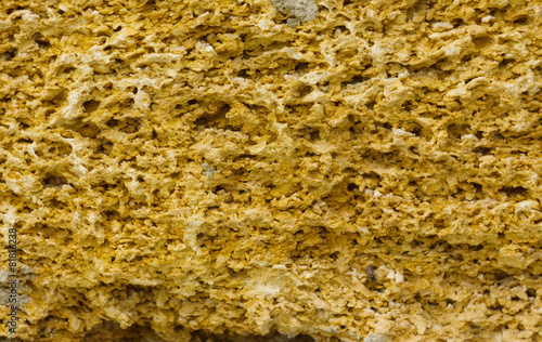 texture of coquina stone