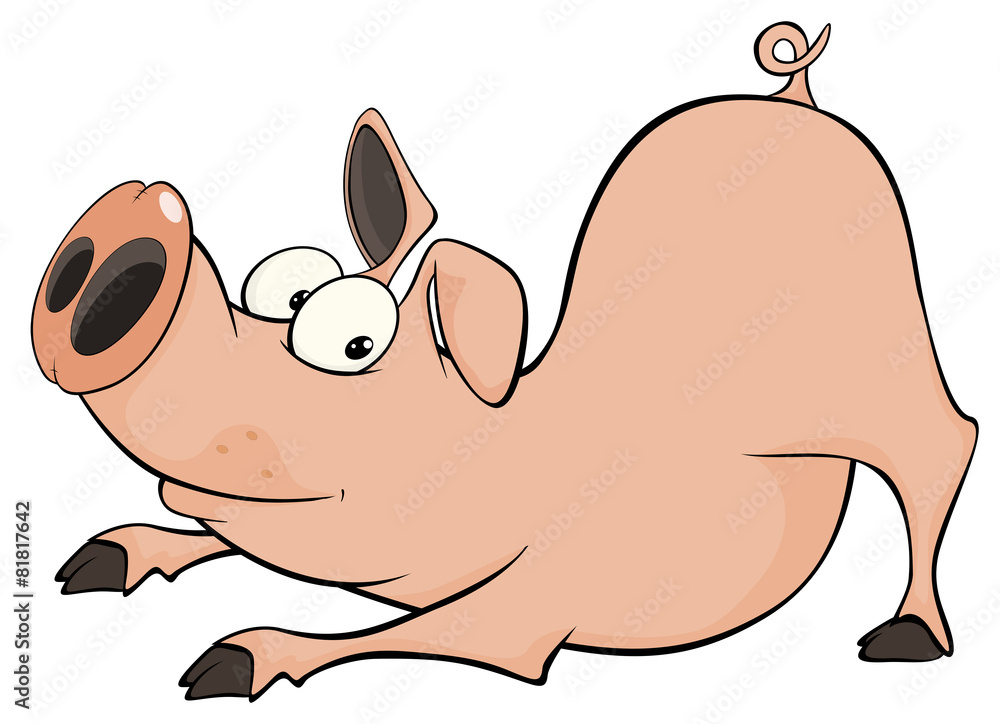 Fototapeta premium Pig. Cartoon