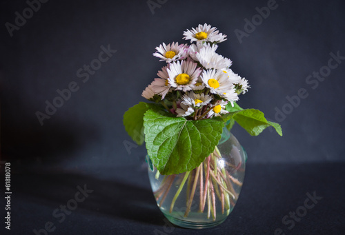 Il piccolo mazzolino photo