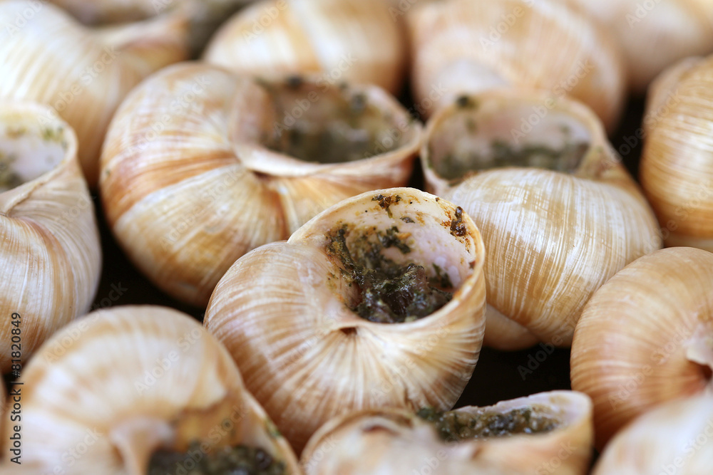 Escargots Escargots