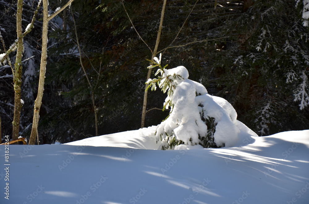 Enseveli (Chartreuse / Isère) Enseveli (Chartreuse / Isère)