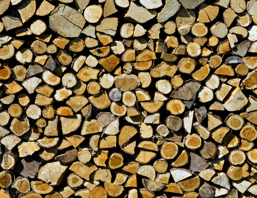 Cut Logs