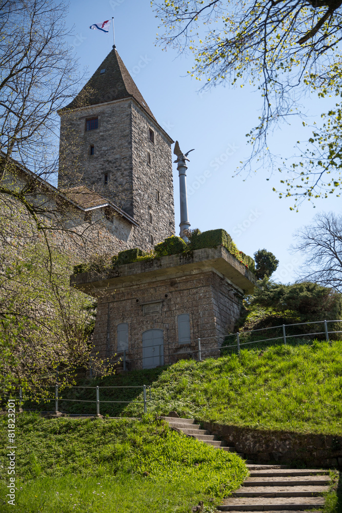 Obraz premium Turm im Schloss Rapperwil