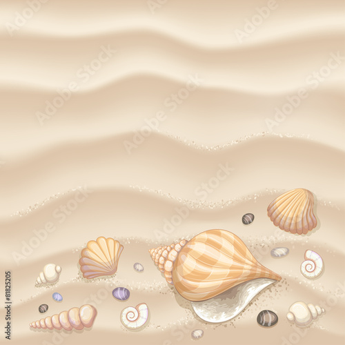 Background with seashells