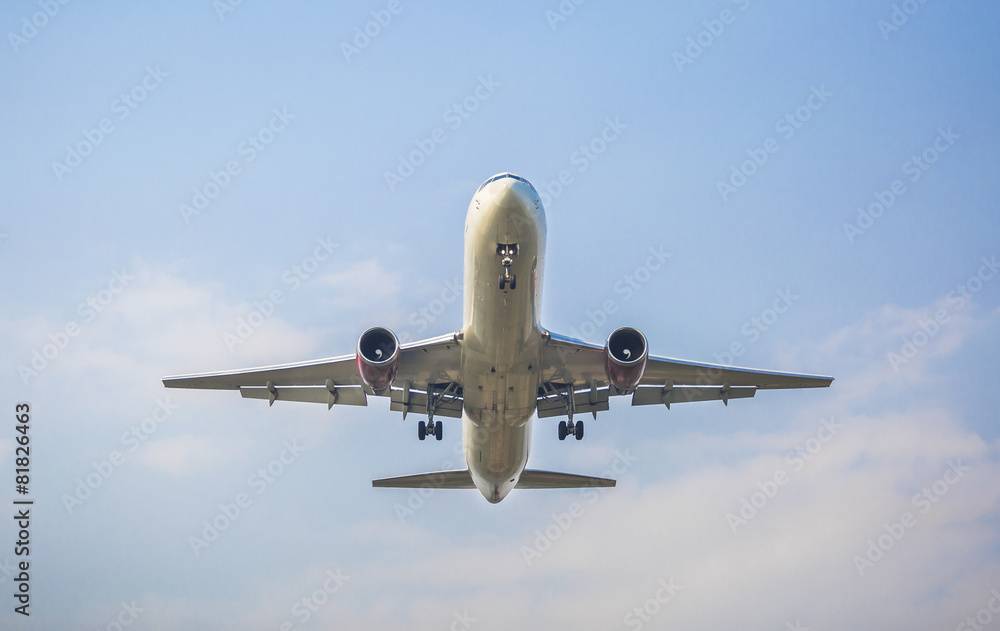 Plane with sky