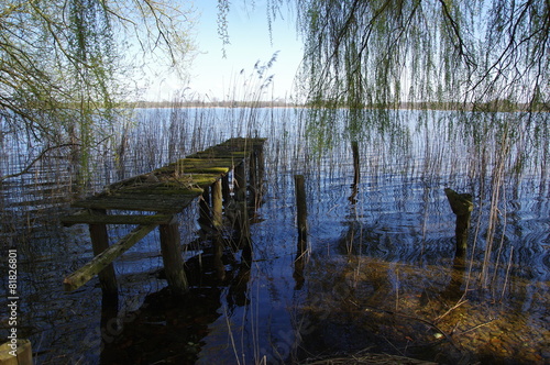 Morscher Steg am Schaalsee 12 photo