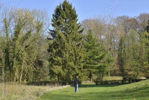 Promeneur en pleine nature au parc de Boitfort à Bruxelles © Photocolorsteph