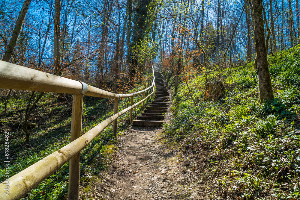 Aufstieg per Treppe zum Bergwald in Wolfratshausen