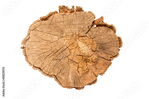Holzstamm Baum