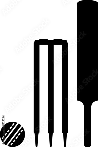 Cricekt Bat Ball Wicket