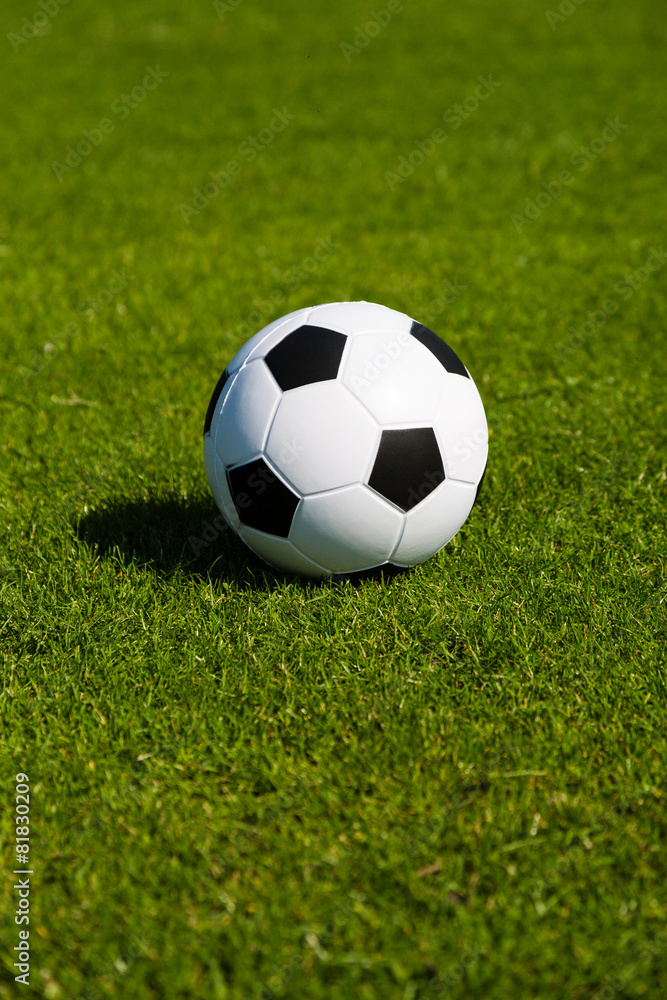 Green pitch with soccer ball Green pitch with soccer ball