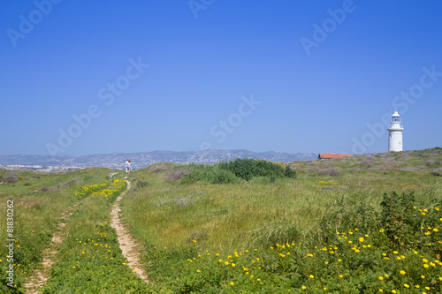 Man walking by the road on a green meadow with yellow flowers an