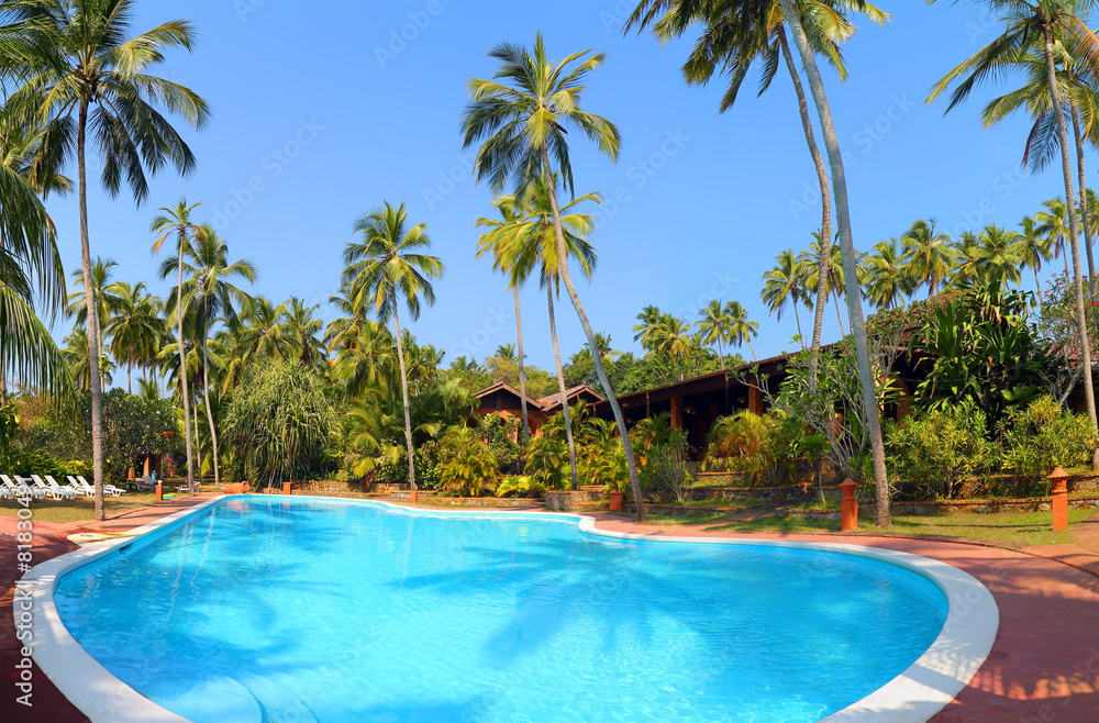 swimming pool with palm trees at tropical resort