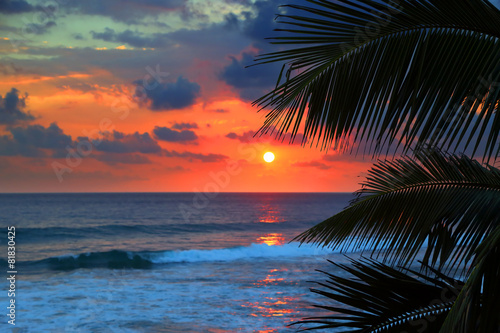 beautiful sea sunset and palm leaves