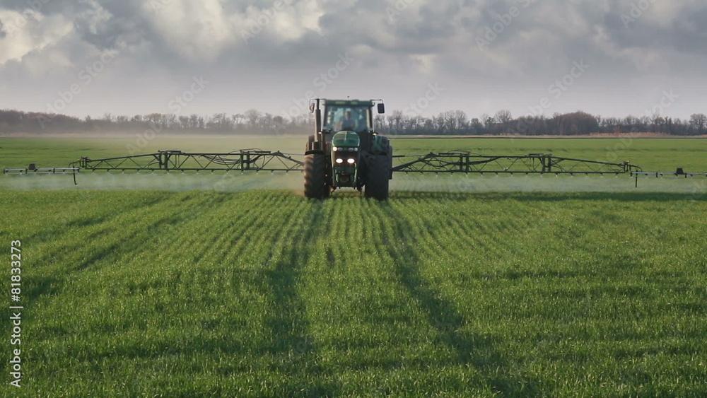 blue tractor sprinkles the wheat field with chemicals blue tractor sprinkles the wheat field with chemicals