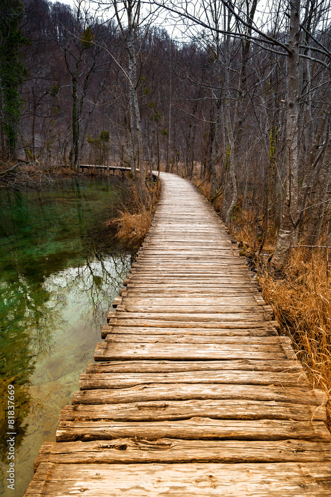 Fototapeta premium Road in the forest at autumn