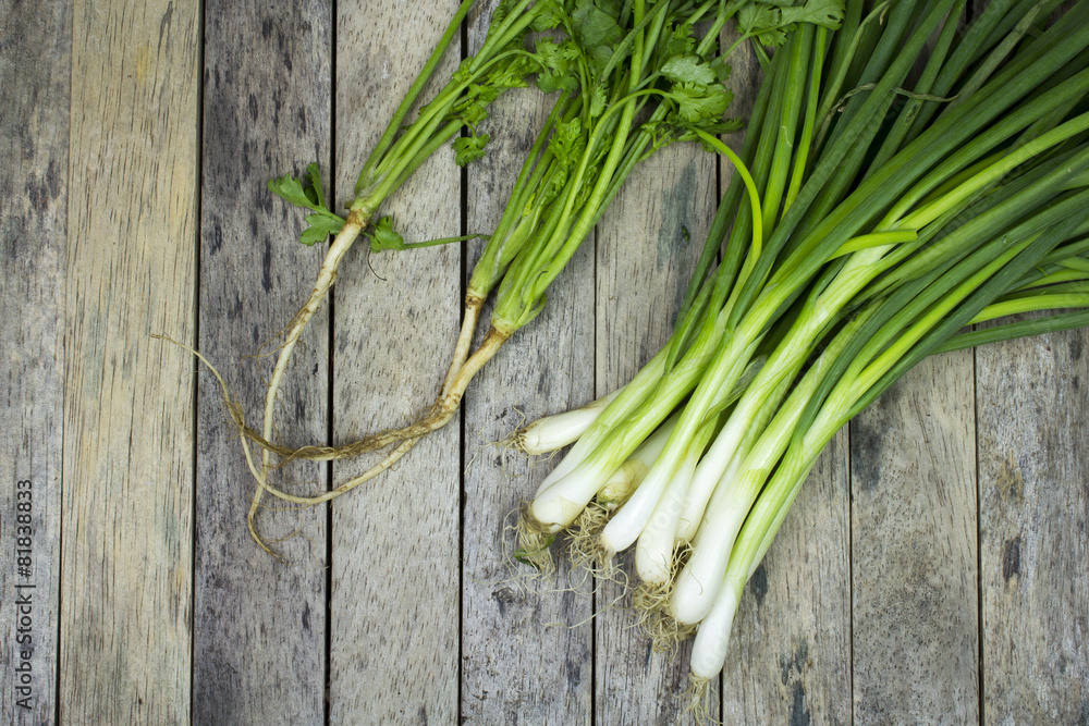 onion welsh and coriander on wood plank onion welsh and coriander on wood plank