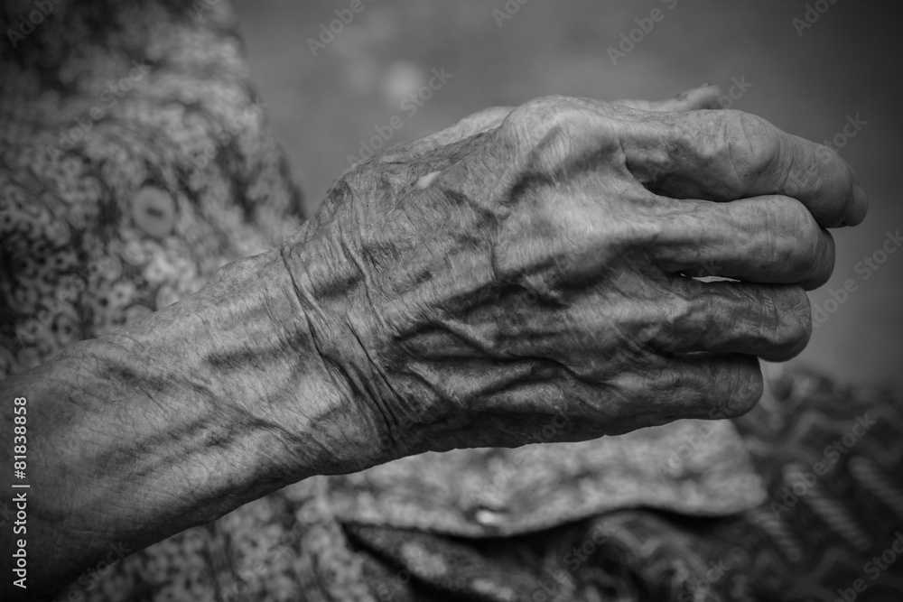 Fototapeta premium Hands of the old woman. Black and White.
