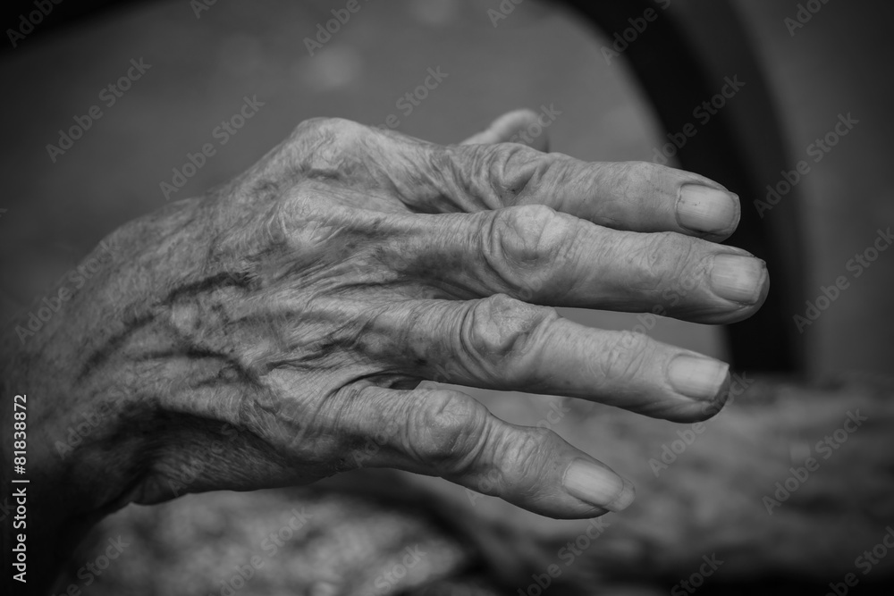 Fototapeta premium Hands of the old woman. Black and White.
