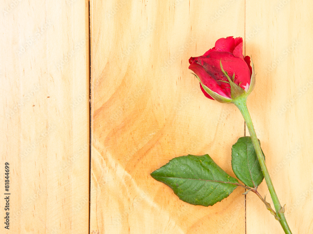 red rose on a wood background