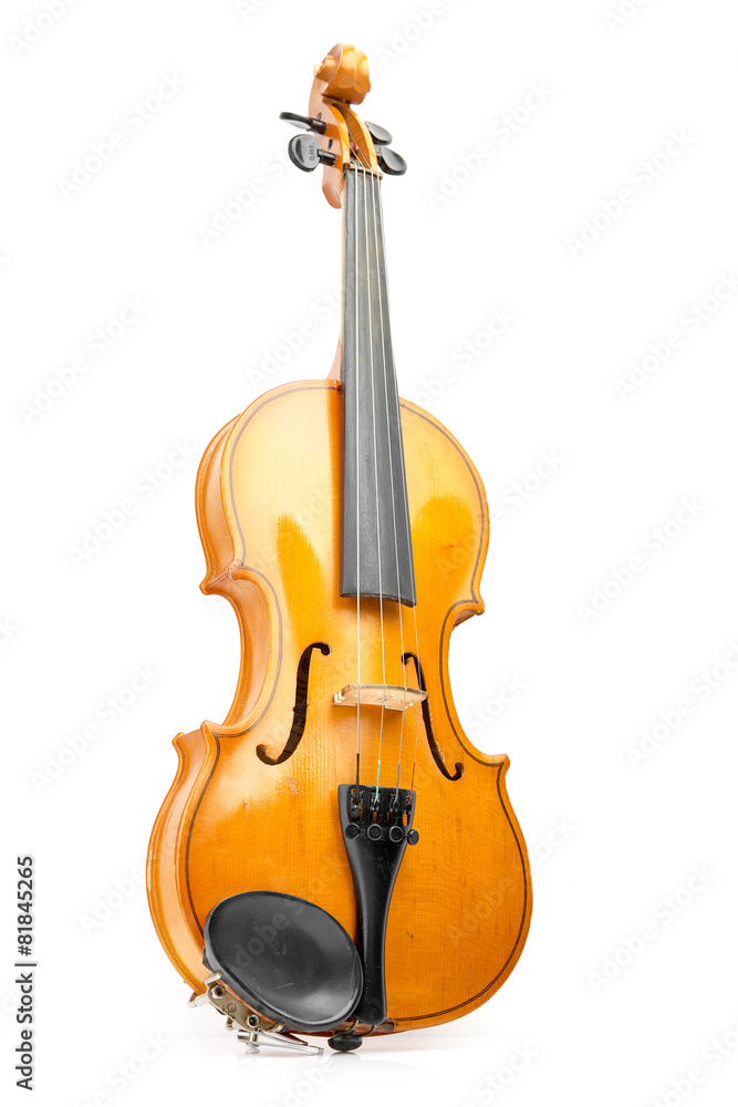 Fototapeta premium violin on white background
